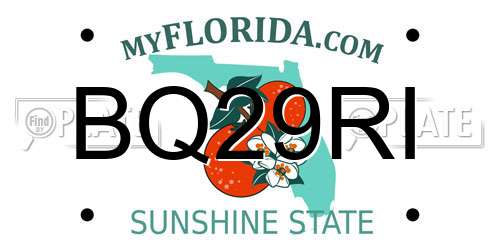 BQ29RI Florida License Plate