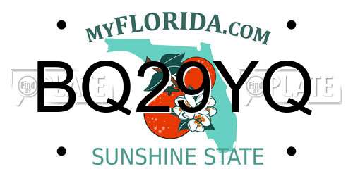 BQ29YQ Florida License Plate