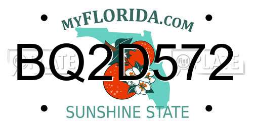 BQ2D572 Florida License Plate