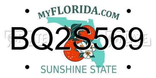 BQ2S569 Florida License Plate