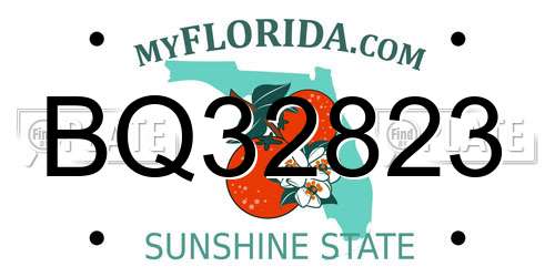 BQ32823 Florida License Plate