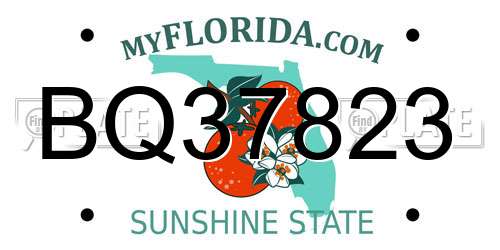BQ37823 Florida License Plate