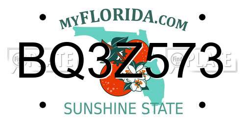 BQ3Z573 Florida License Plate