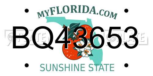 BQ43653 Florida License Plate