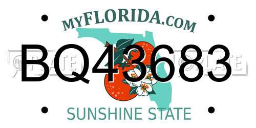 BQ43683 Florida License Plate