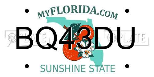 BQ43DU Florida License Plate