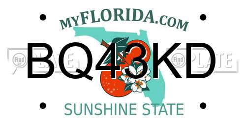 BQ43KD Florida License Plate
