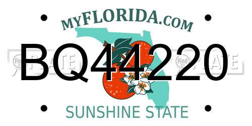 BQ44220 Florida License Plate