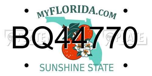 BQ44770 Florida License Plate