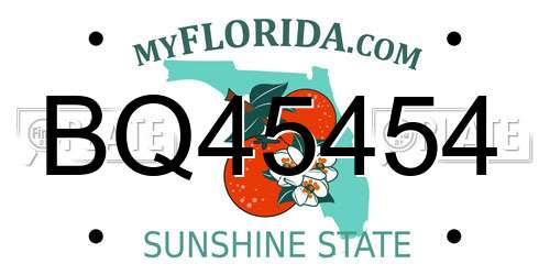 BQ45454 Florida License Plate