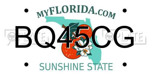 BQ45CG Florida License Plate