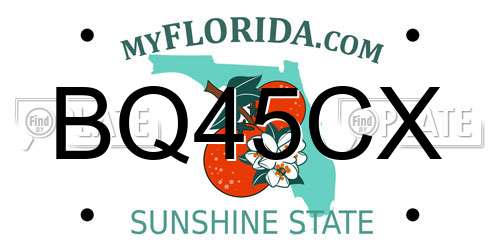 BQ45CX Florida License Plate