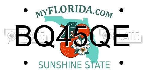 BQ45QE Florida License Plate