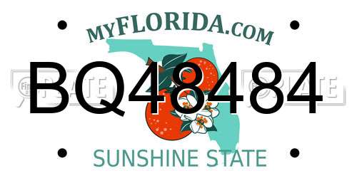 BQ48484 Florida License Plate