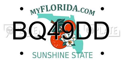 BQ49DD Florida License Plate