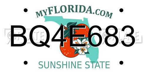 BQ4E683 Florida License Plate
