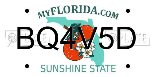 BQ4V5D Florida License Plate