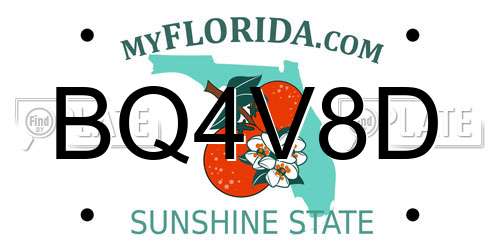 BQ4V8D Florida License Plate