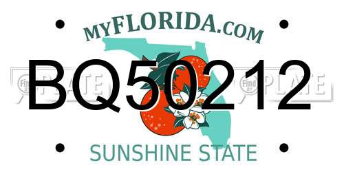BQ50212 Florida License Plate