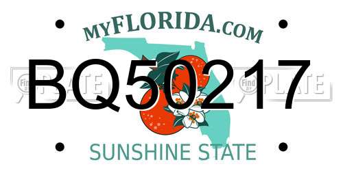 BQ50217 Florida License Plate