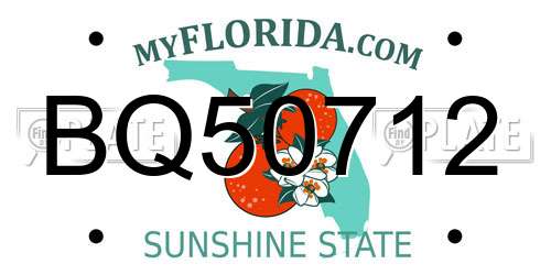 BQ50712 Florida License Plate