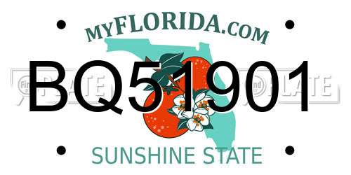 BQ51901 Florida License Plate