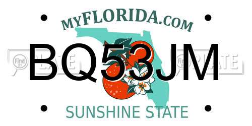 BQ53JM Florida License Plate