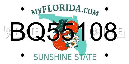 BQ55108 Florida License Plate