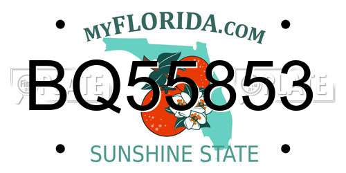 BQ55853 Florida License Plate