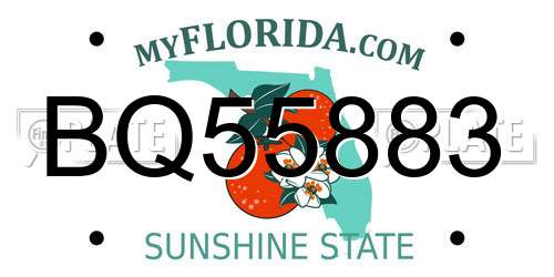 BQ55883 Florida License Plate