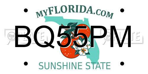BQ55PM Florida License Plate