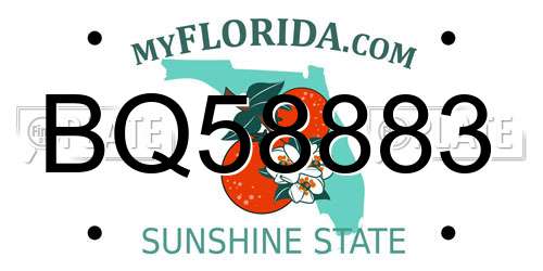 BQ58883 Florida License Plate