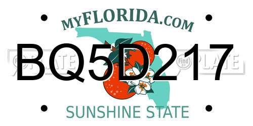 BQ5D217 Florida License Plate