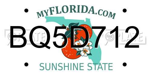 BQ5D712 Florida License Plate