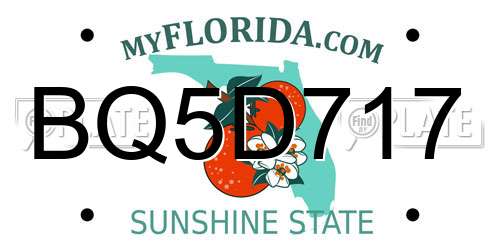 BQ5D717 Florida License Plate