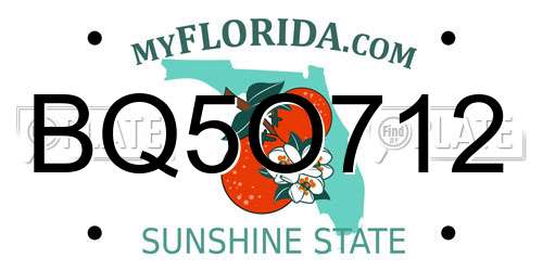 BQ5O712 Florida License Plate