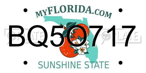 BQ5O717 Florida License Plate
