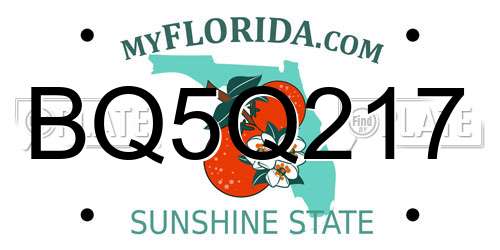 BQ5Q217 Florida License Plate