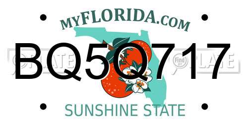 BQ5Q717 Florida License Plate