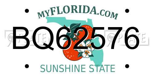 BQ62576 Florida License Plate