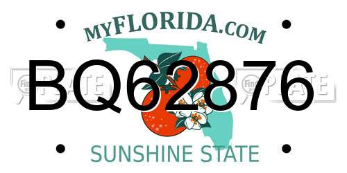 BQ62876 Florida License Plate