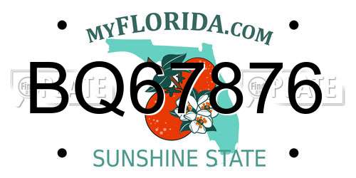 BQ67876 Florida License Plate