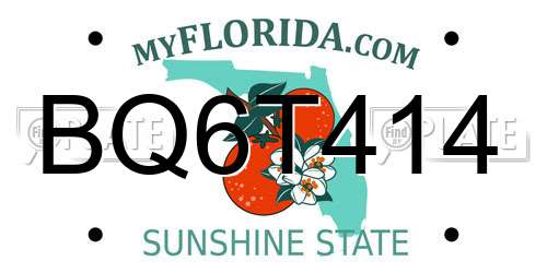 BQ6T414 Florida License Plate