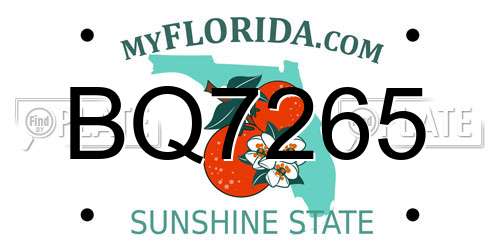BQ7265 Florida License Plate