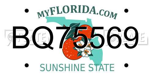 BQ75569 Florida License Plate