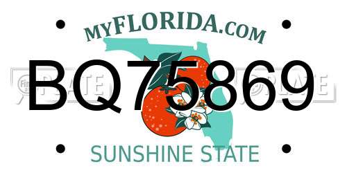 BQ75869 Florida License Plate