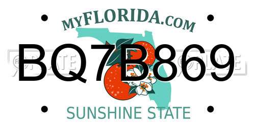 BQ7B869 Florida License Plate