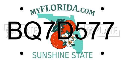 BQ7D577 Florida License Plate