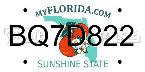 BQ7D822 Florida License Plate