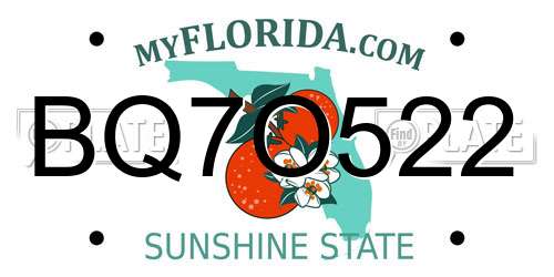 BQ7O522 Florida License Plate